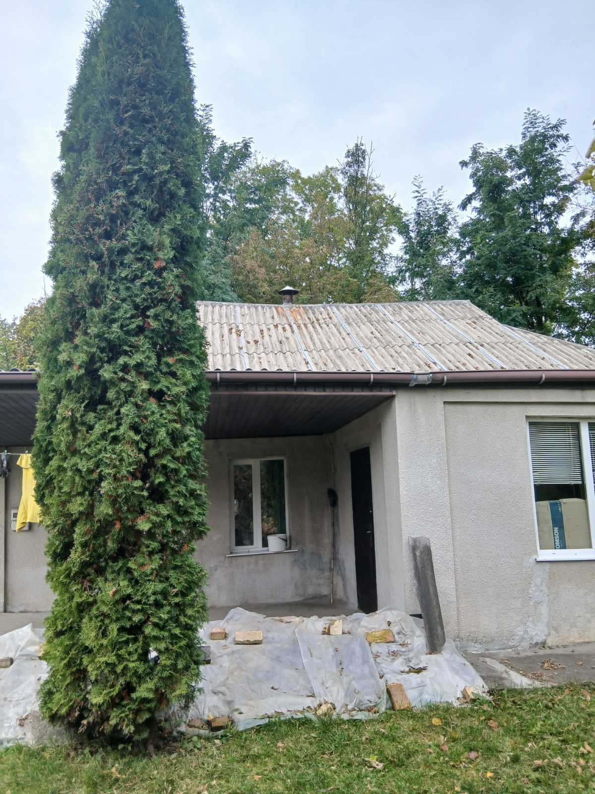 �������� ������� ������� �������������! 🌳 ���� 1