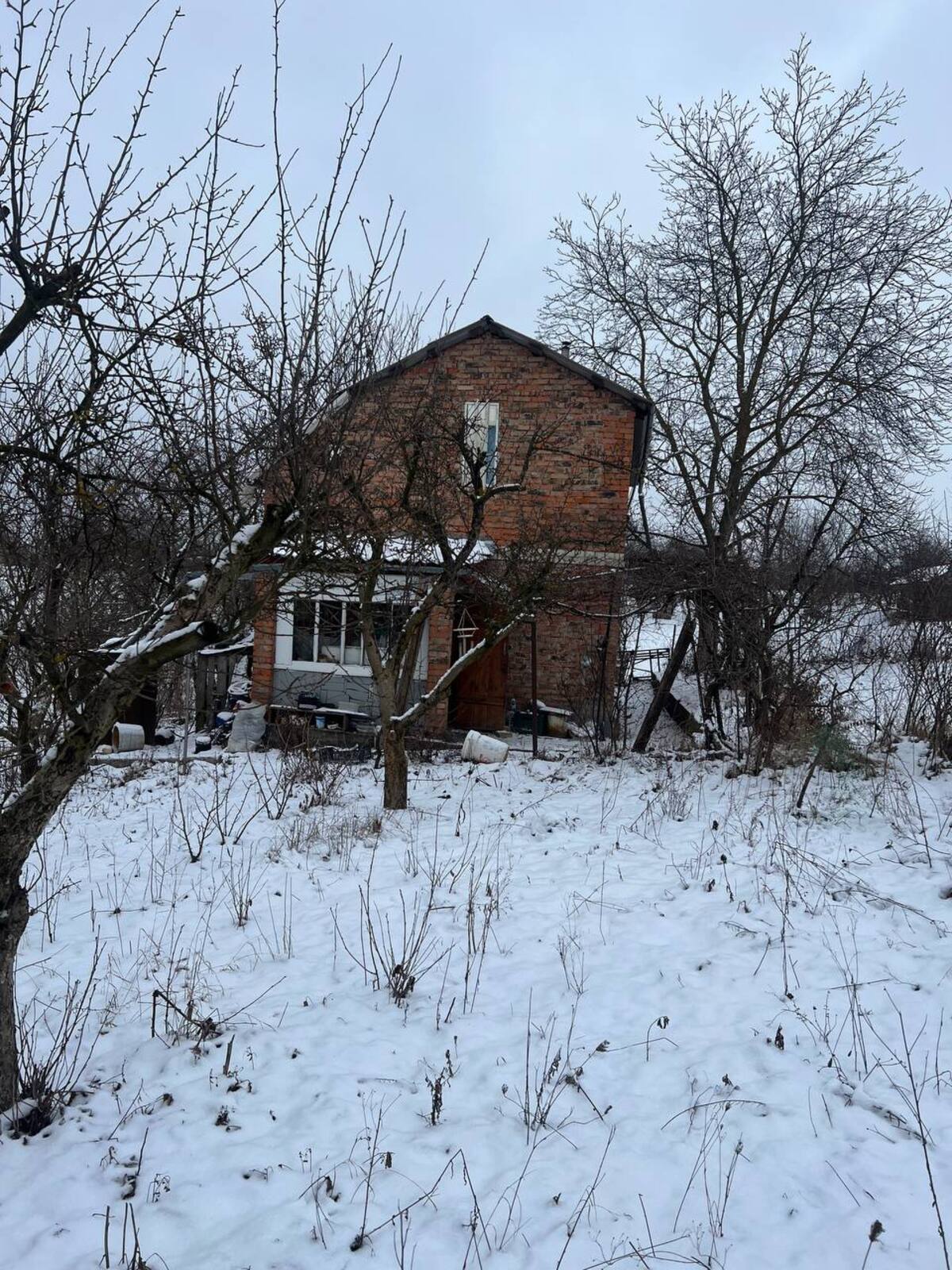 🌳 ������ ���� � ����� ̲��� ���� 1