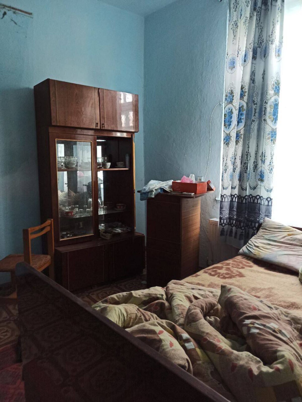 🌳 �������� ������� ���� 1