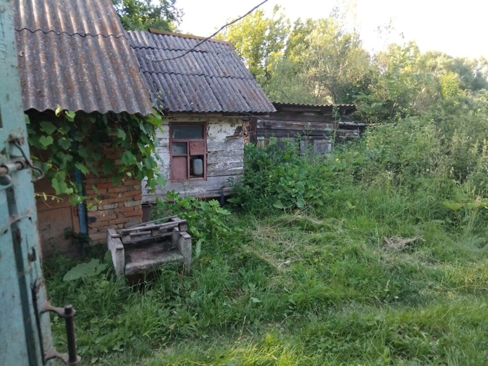     ,  13    . ! 🌳  1