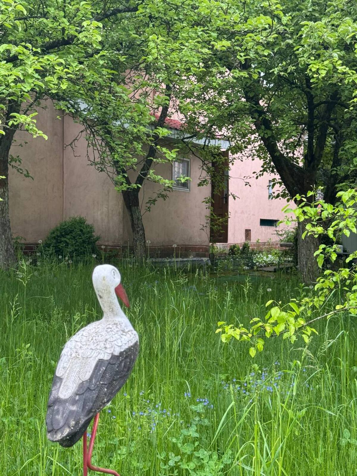 🌳 �������� ����� ������ � ����� ��������� � �. ������� ���� 1