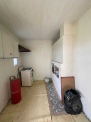 🌳 ������ �� ������� � �������� �����: ���������� �������� ������� ���� 16