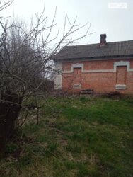     ,  13    . ! 🌳  2