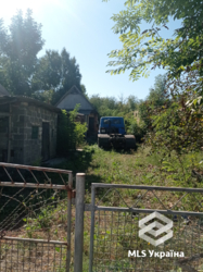 ������ ������� � �. ������ � ��� ��������� ��������� ����� � ������������! 🌳 ���� 8