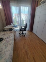 �������� ������ | ������ �������� ���� 13