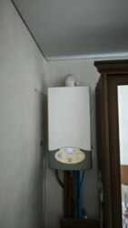 🌳 ��������� �������� ������� � ���� ������������� �� ���������� �������! ���� 6