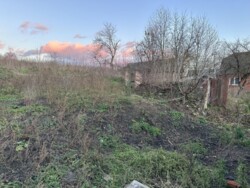 🌳 ���� �������� ���������� �� 25 ������: ������, ������� �� �����������! ���� 5