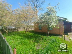 ������� � 20 �� �� ����! 🌲✨ ���� 1