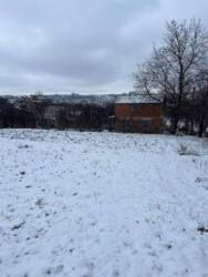 🌳 ������ ���� � ����� ̲��� ���� 3