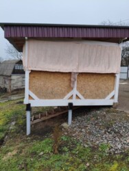 🍎 ���� �������� ���� ����: ���� ��� ����� � �� ��������� ��� � 2� ���� 8