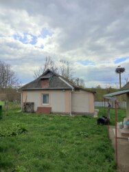 ��������� ������� ʳ�����, 17, ����������, �������������, ����������� ���� 20