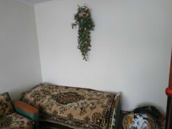🏡 ����Ҳ� �� �����������! ✨ ���� 11