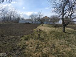 🏡 ����Ҳ� �� �����������! ✨ ���� 6