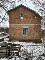 🌳 ������ ���� � ����� ̲��� ���� 4