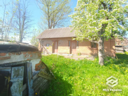 ������� � 20 �� �� ����! 🌲✨ ���� 18