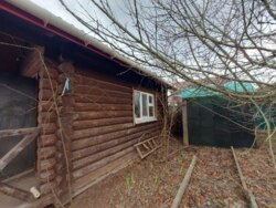 ������ ���� �� ������ �� ������� ��� ���� 51