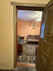 ��������� ������� �����������, ������������, ������, ��� �����������, 12/1 ���� 13