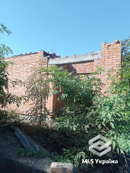 ������ ������� � �. ������ � ��� ��������� ��������� ����� � ������������! 🌳 ���� 6