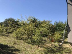 🔥 ������ ���������� ��� ���, ��� �� ��� ������� �������! ���� 8