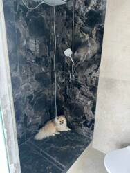 🌅 ��� ������������ ������� �� �����! ���� 8