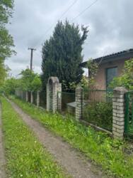 🌳 �������� ����� ������ � ����� ��������� � �. ������� ���� 3