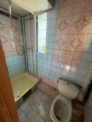 🌳 ������ �� ������� � �������� �����: ���������� �������� ������� ���� 19