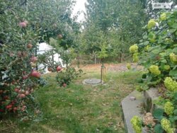 ✨ ���������������� ������� ������� �� �������� �������㳺� � ��� ������� ��� �����! ✨ ���� 13