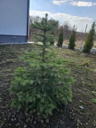 ✨ Видовий 2-поверховий будинок площею 112 м² з власним виходом до озера, терасами та ділянкою 11 соток! фото 8 ✨ Видовий 2-поверховий будинок площею 112 м² з власним виходом до озера, терасами та ділянкою 11 соток! фото 8