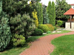 🏡 Елітний 2-поверховий будинок у масиві Дивокрай (Озерна) фото 8 🏡 Елітний 2-поверховий будинок у масиві Дивокрай (Озерна) фото 8