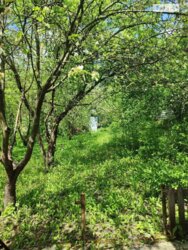 1 ����������� ������� � ��������� � ������� �� 5.47 �����, 20.1 ��. �, 1 ������, �� ����� ��������� ��� ���� 2