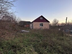 🌳 ���� �������� ���������� �� 25 ������: ������, ������� �� �����������! ���� 1