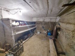 ����������� ������� � ���� ������� ���� 16