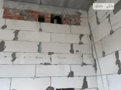 🏡         🌿  6