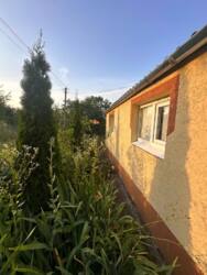 ������� ������� � �������� ����� (���������� �/�) ���� 13