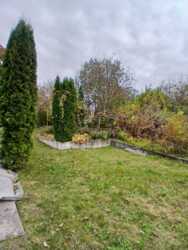 �������� ������� ������� �������������! 🌳 ���� 6