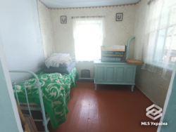 ������� � 20 �� �� ����! 🌲✨ ���� 14