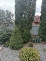 🏰 ��� ������ �� ������� ������ � ������ ����Ҳ! ✨ ���� 16