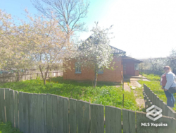 ������� � 20 �� �� ����! 🌲✨ ���� 6