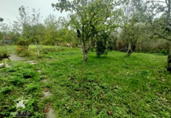   , ,   19