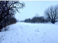 ✨ �������� ������ � ���������� � ���. ����, 36 ���� 2