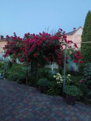 🏰 ��� ������ �� ������� ������ � ������ ����Ҳ! ✨ ���� 19