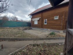 ������ ���� �� ������ �� ������� ��� ���� 50