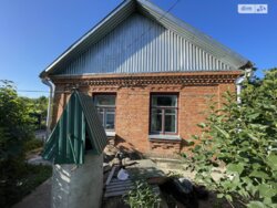 ������� � �. ����� ������� � ��� ����� �������� �������! 🌳 ���� 3