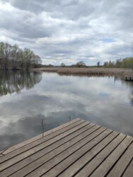 ��������� ������� ʳ�����, 17, ����������, �������������, ����������� ���� 28