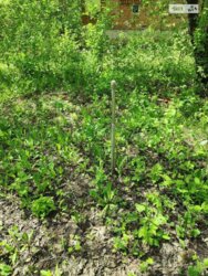 1 ����������� ������� � ��������� � ������� �� 5.47 �����, 20.1 ��. �, 1 ������, �� ����� ��������� ��� ���� 3