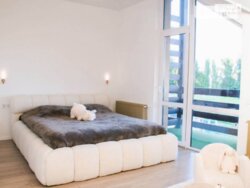 🌲 ����� � ������ ���: ���������� ������ 170 �² � ���������� �������� ���� 6