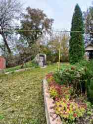 �������� ������� ������� �������������! 🌳 ���� 2