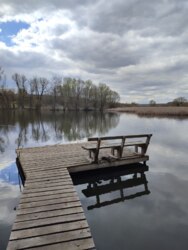 ��������� ������� ʳ�����, 17, ����������, �������������, ����������� ���� 27