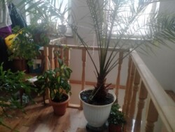 🏰 �Ͳ������ �������ֲ�: ������ �� 4 Ѳ�'� ��� ������� �������� ������! ✨ ���� 6