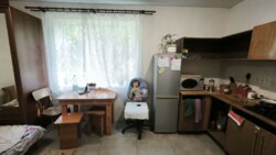 🌳 ��������� �������� ������� � ���� ������������� �� ���������� �������! ���� 4